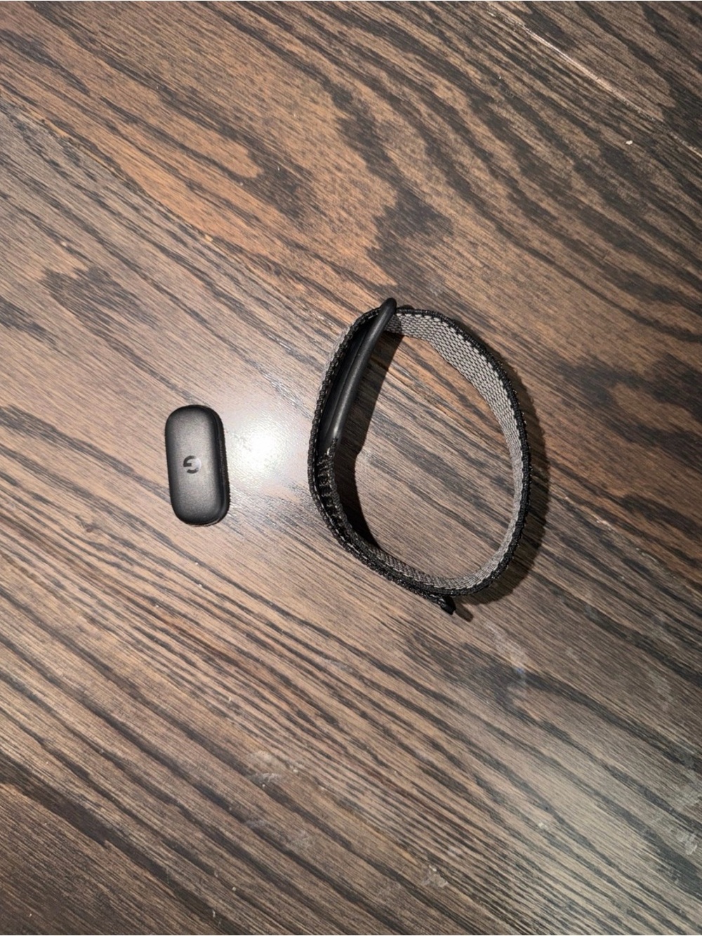 Google Fitbit Air